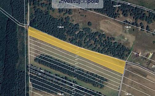 Prodej pole 7 021 m², Liběchov, okres Mělník