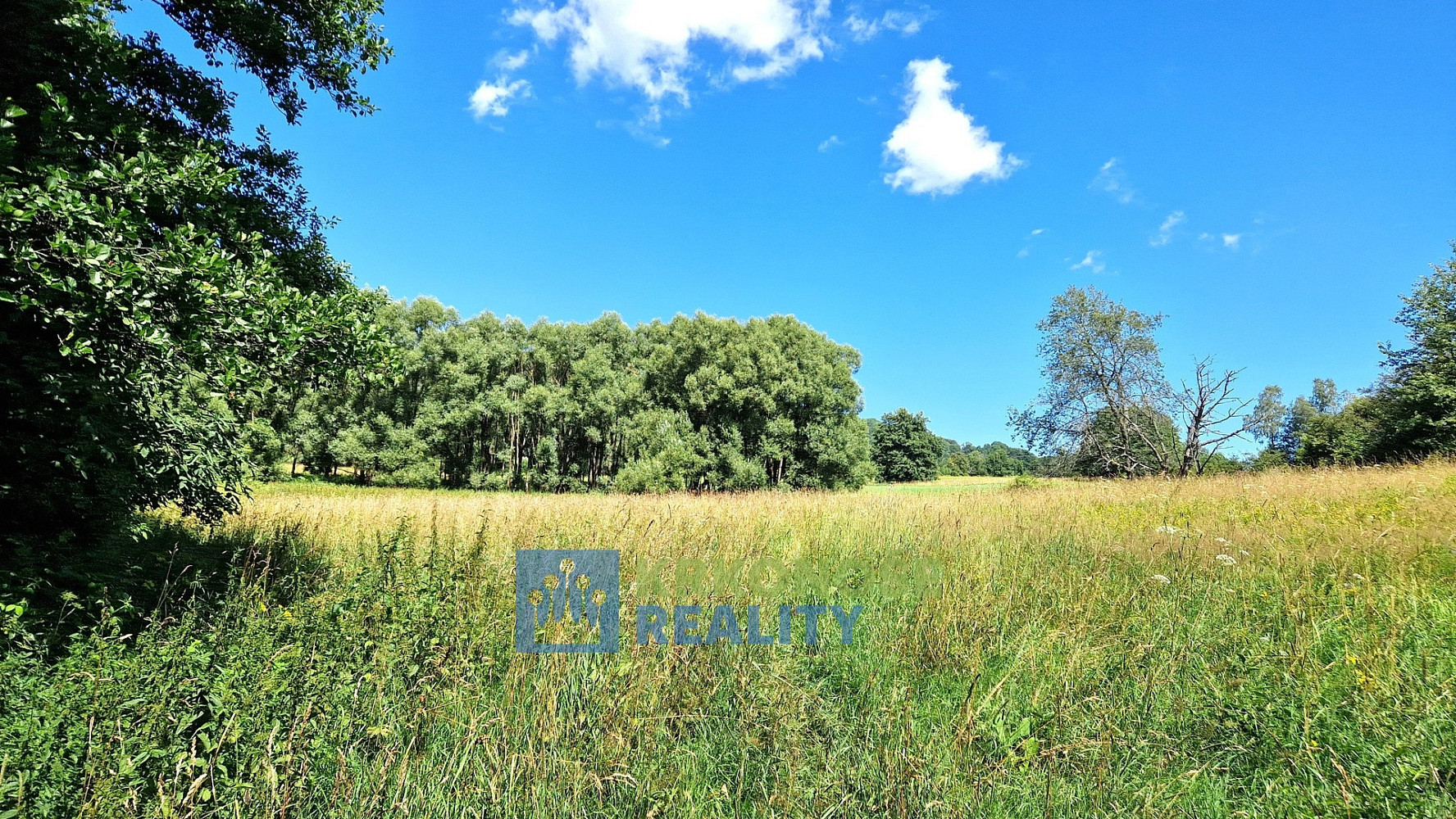Prodej podílu 1/2 pozemky - trvalý travní porost, 68 585 m² - Trutnov - Babí – další