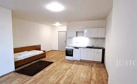 Pronájem bytu 1+kk 25 m², Čížová - Topělec, okres Písek