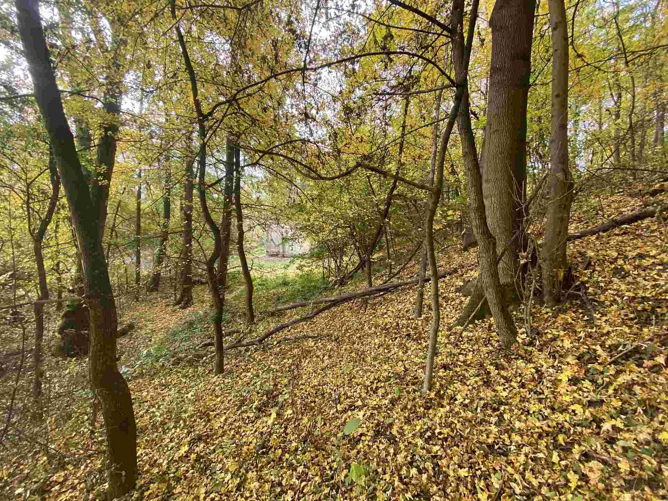 Prodej pozemku 2 639 m² – pohled 2