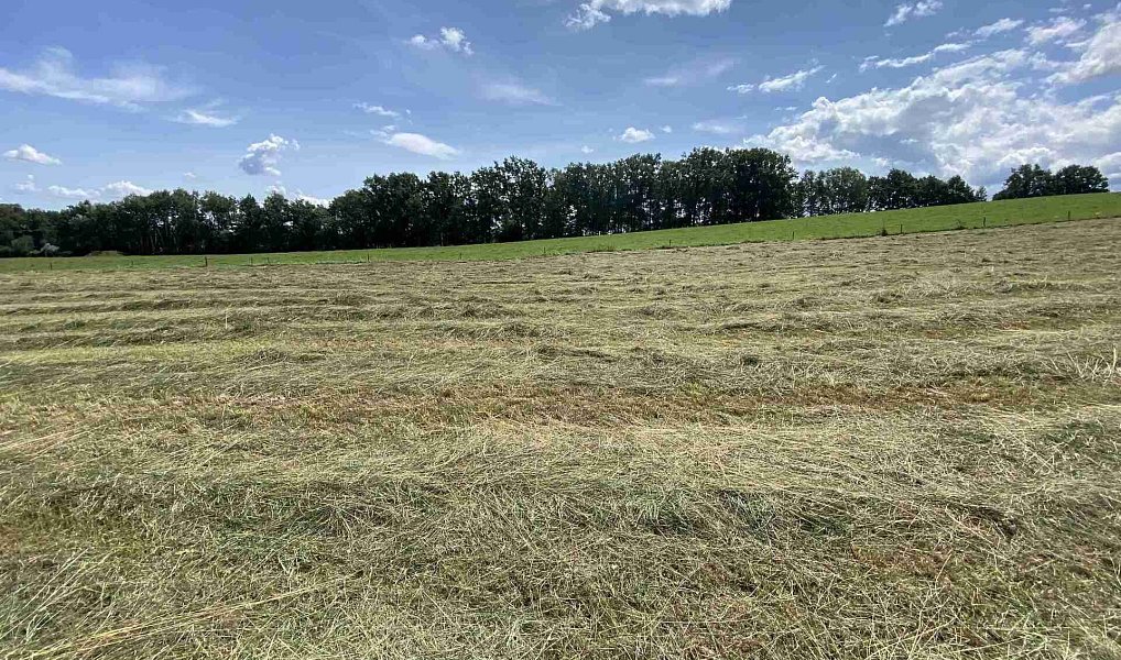 Prodej pole 55 481 m², Lhenice – náhled fotky 15