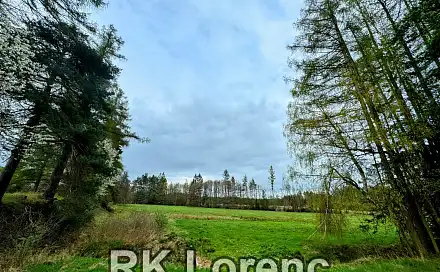 Prodej louky 5 265 m², Radostín nad Oslavou, okres Žďár nad Sázavou