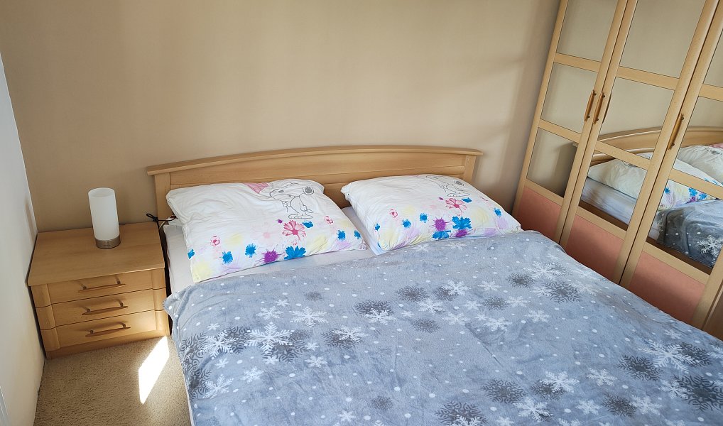 Pronájem bytu 3+1 67 m², Planá – náhled fotky 10