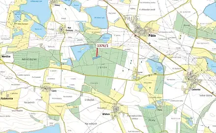 Dražba lesa 13 807 m², Břehov