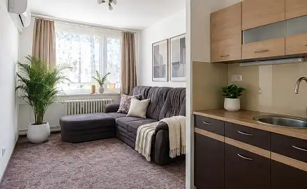 Pronájem bytu 2+kk 33 m², Březinova, Kolín - Kolín II