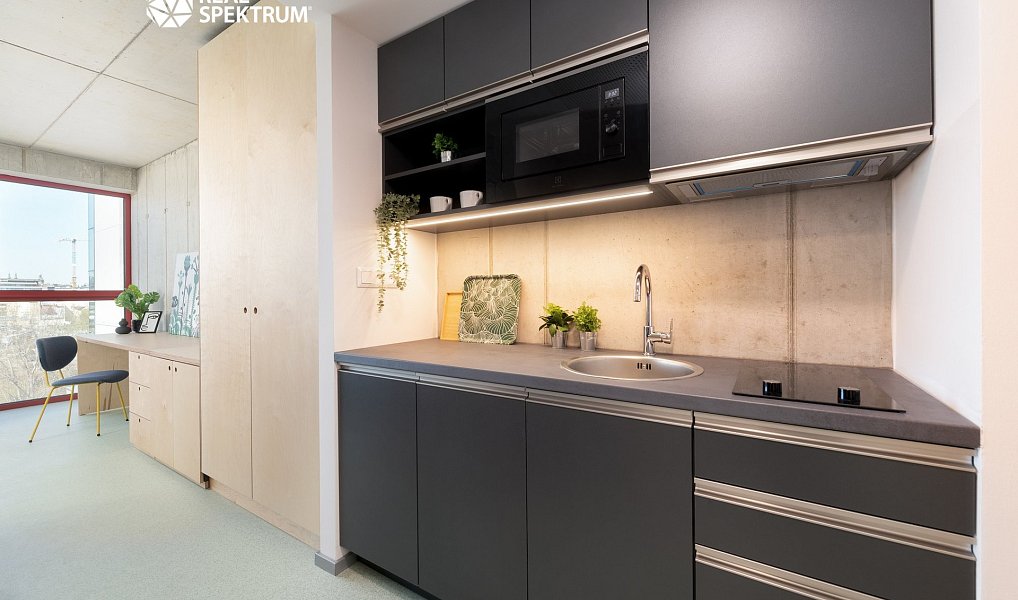 Pronájem bytu 1+kk 27 m², Brno – náhled fotky 3