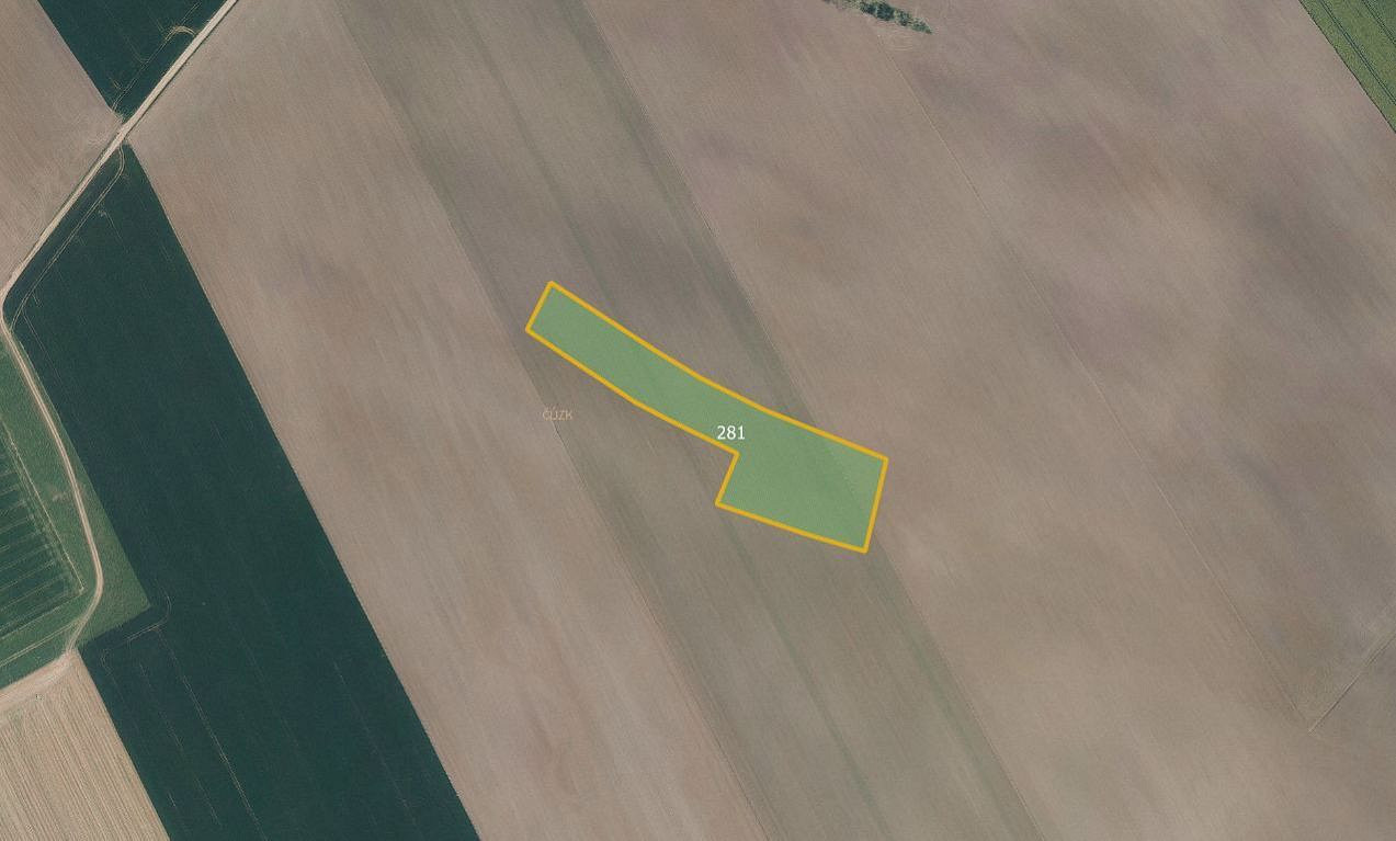 Prodej pole 7 520 m² — photo 2