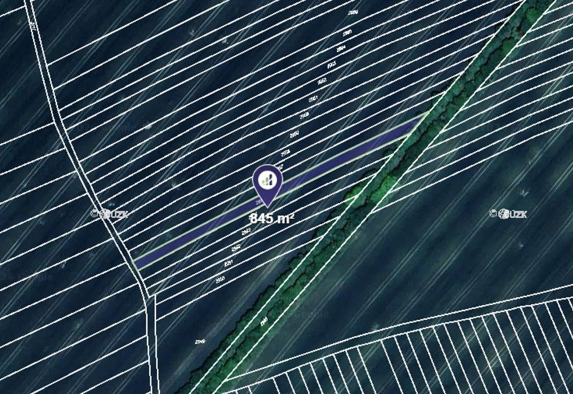 Prodej pole 3 815 m² – fotografie 2