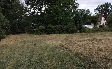 Pronájem louky 3 000 m², Líšťany - Košetice, okres Plzeň-sever