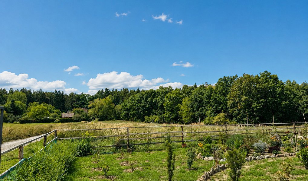 Prodej zahrady 391 m², Písek – náhled fotky 3