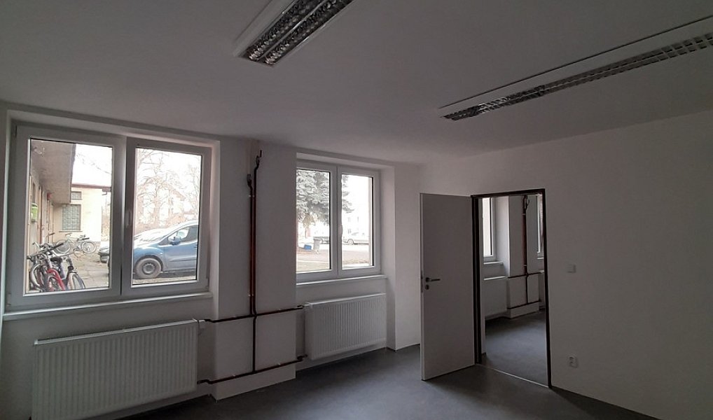 Pronájem komerčního objektu (jiného typu) 50 m², Lužany – náhled fotky 2