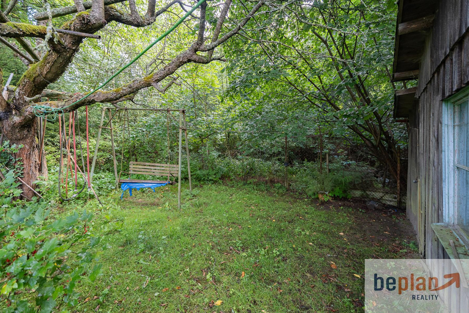 Prodej zahrady 254 m² – fotografie 3