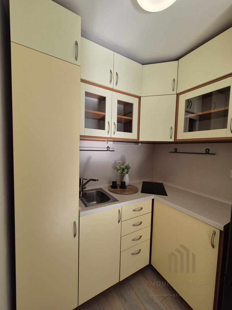 Pronájem bytu 1+kk 26 m² — photo 2