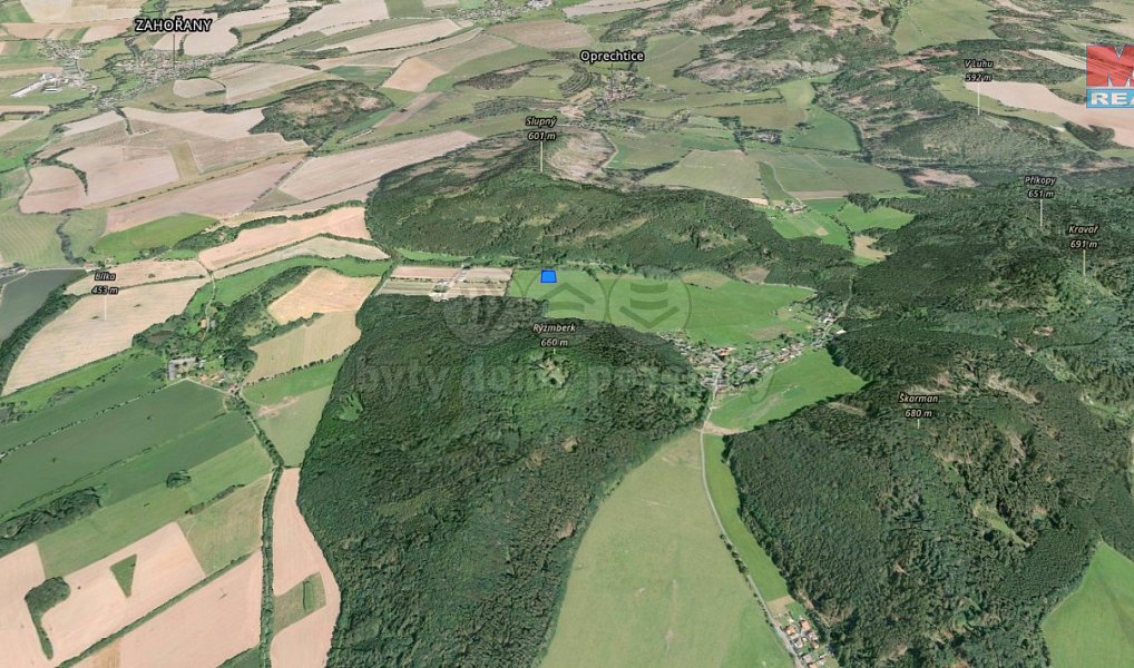 Prodej louky 3 951 m², Kdyně – náhled fotky 4