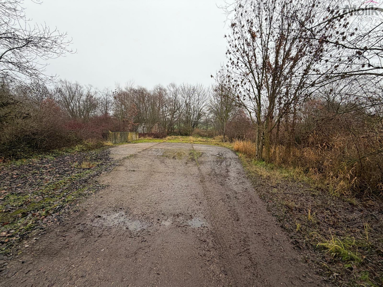 Prodej komerčního pozemku 15 490 m² – fotografie 2