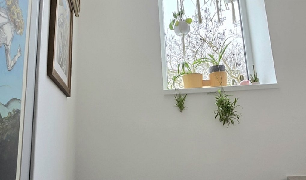 Pronájem domu 200 m² s pozemkem 534 m², Praha – náhled fotky 11