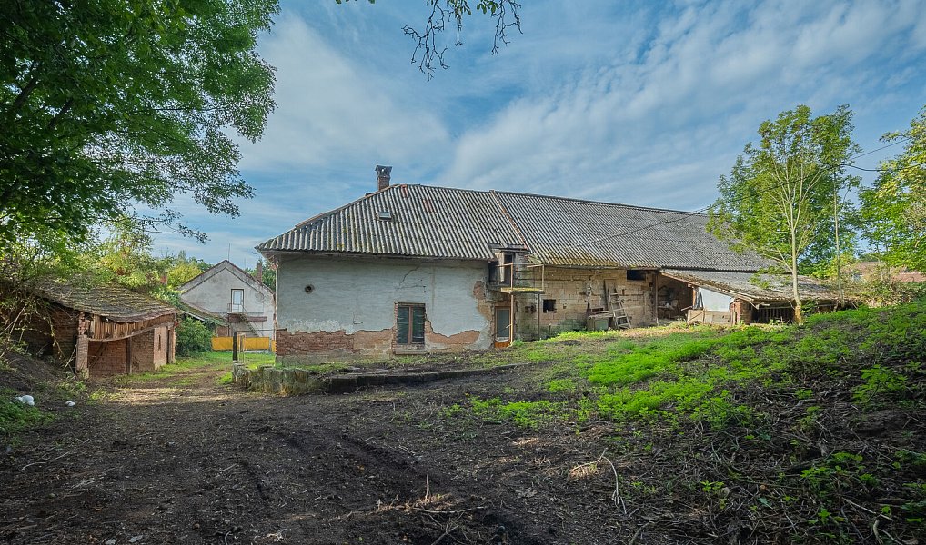 Prodej domu 140 m² s pozemkem 5 016 m², Hořice – náhled fotky 3