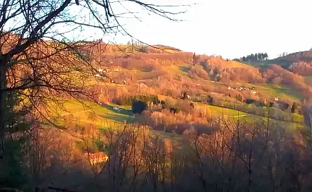 Prodej louky 4 953 m², Vyškovec, okres Uherské Hradiště