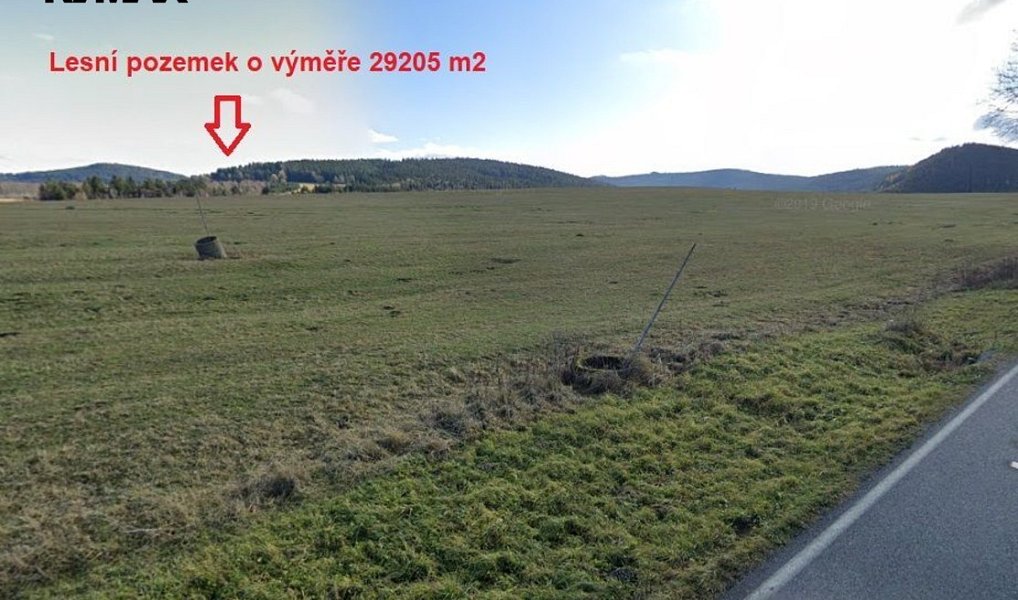 Prodej lesa 29 205 m², Borová Lada – náhled fotky 8