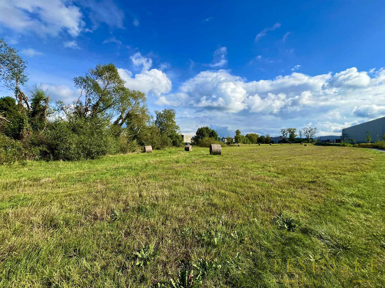 Prodej komerčního pozemku 7 307 m² – fotografie 2