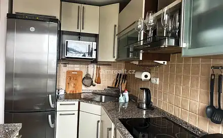 Pronájem bytu 1+1 49 m², Podvinný mlýn, Praha 9 - Libeň