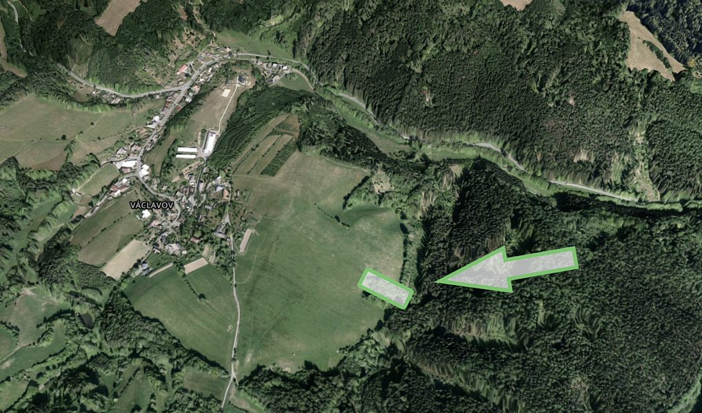 Prodej lesa 9 474 m², Zábřeh – náhled fotky 2