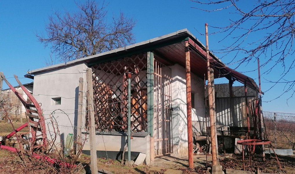Prodej pole 2 596 m², Bzenec – náhled fotky 5