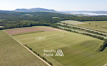 Prodej pole 7 380 m², Bulhary, okres Břeclav