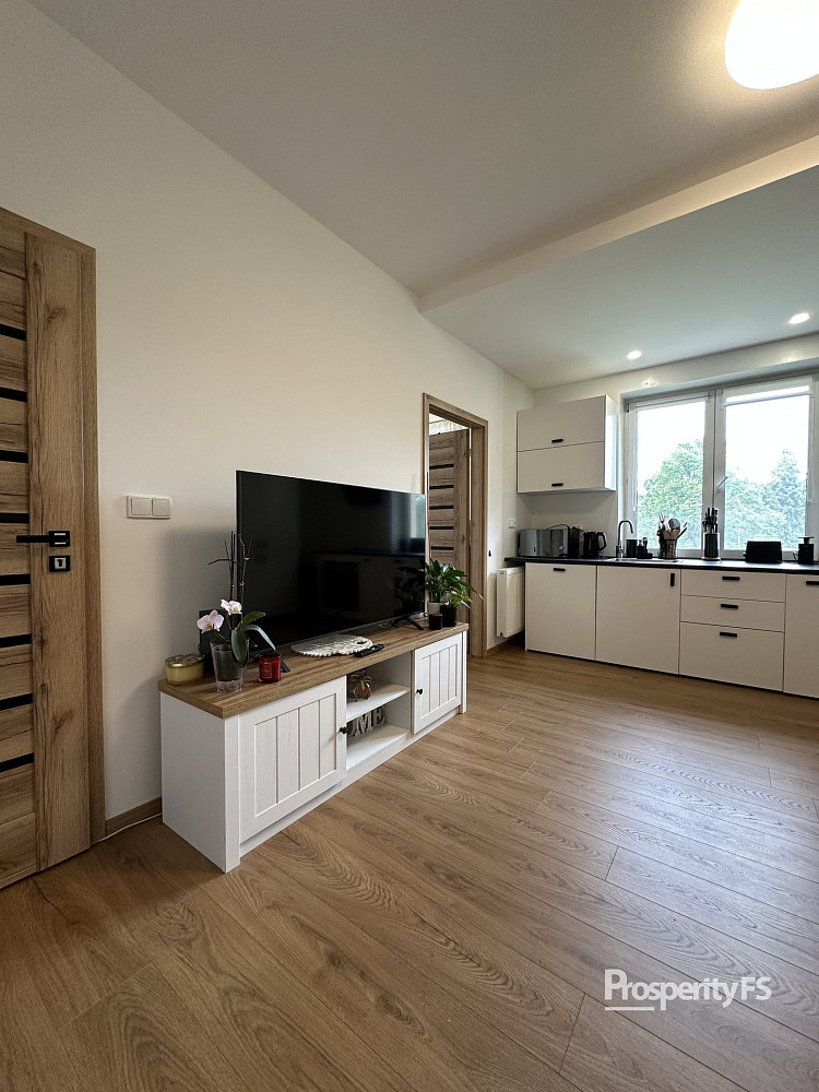 Pronájem bytu 3+kk 53 m² — photo 2