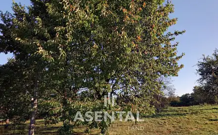 Prodej stavebního pozemku 3 945 m², Doubrava, okres Karviná