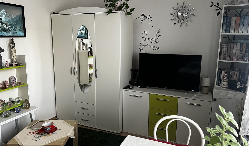 Pronájem bytu 1+kk 25 m², Olomouc – náhled fotky 19