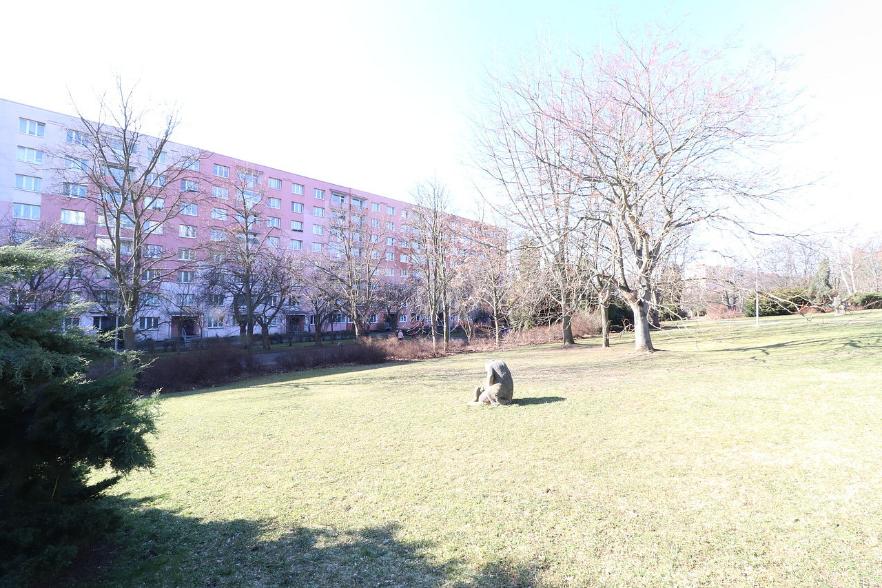 Pronájem bytu 1+kk 19 m²