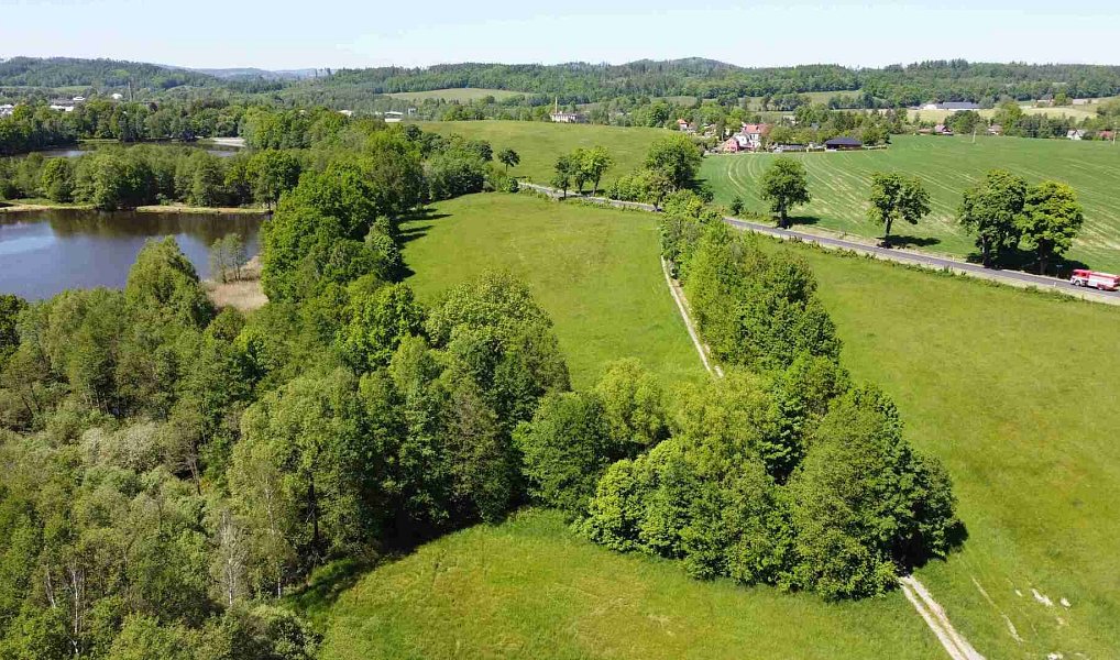 Prodej pole 1 989 m², Šluknov – náhled fotky 4