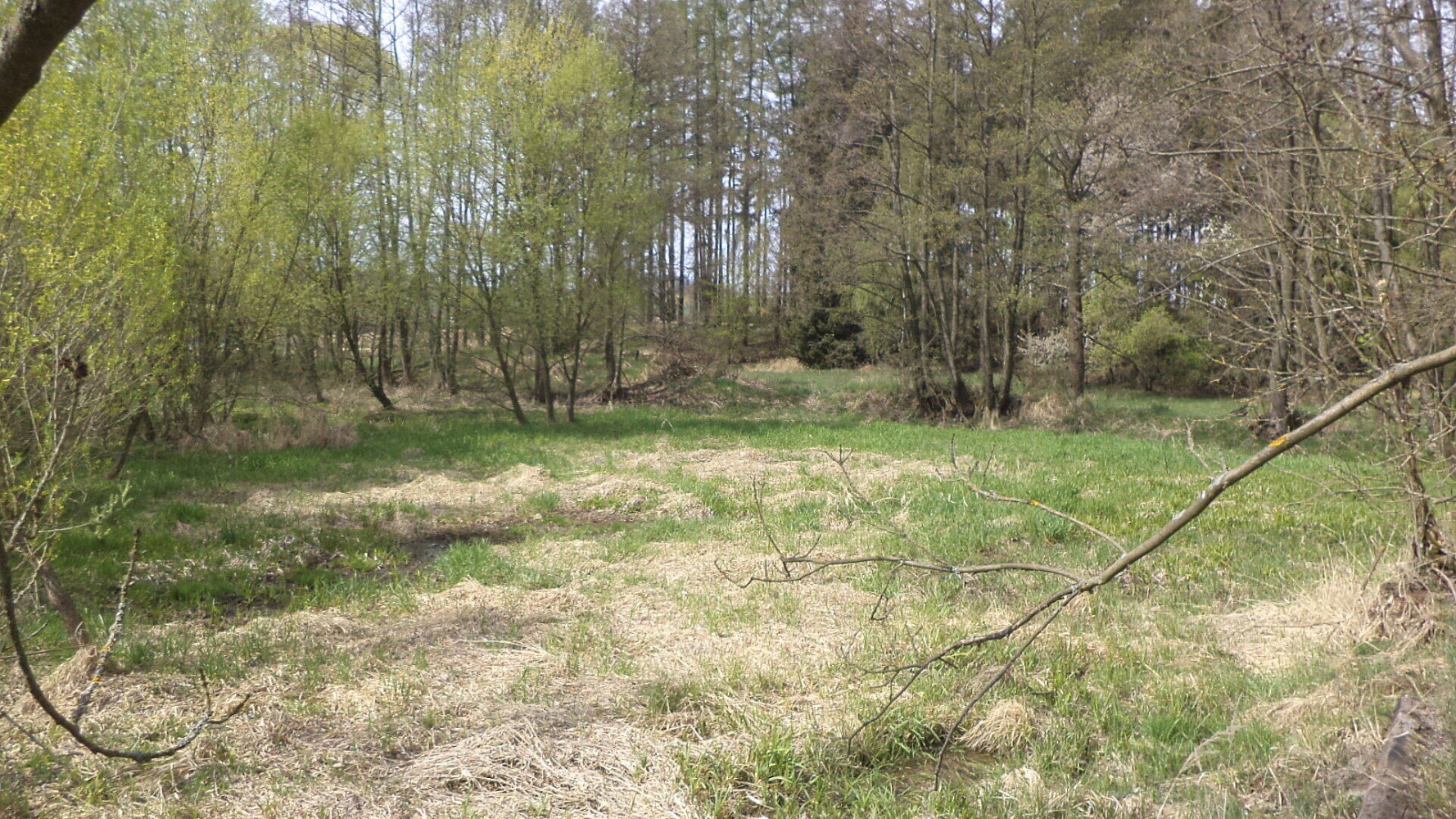 Prodej pole 8 388 m² – fotografie 4