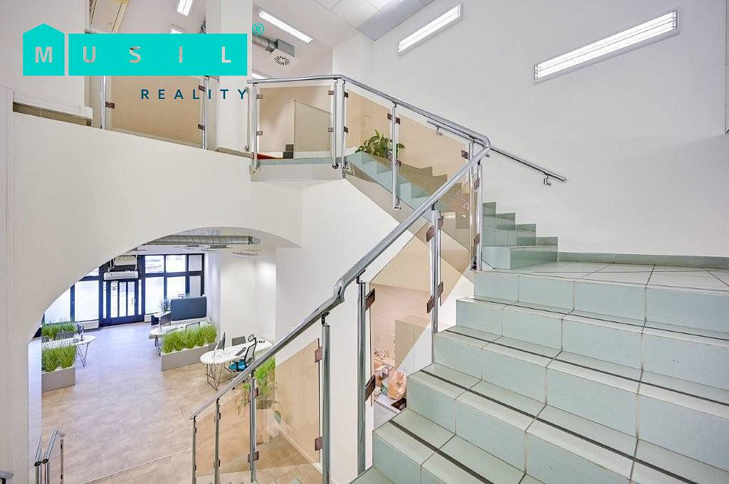 Pronájem obchodních prostor 300 m² – fotografie 5