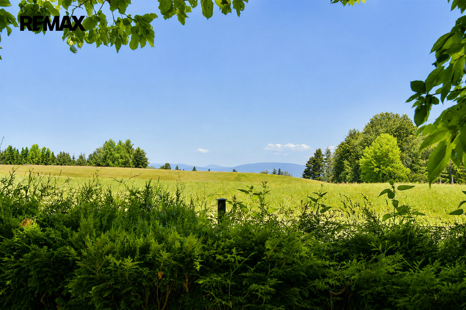 Prodej chaty/chalupy 62 m² s pozemkem 2 791 m² – fotografie 4