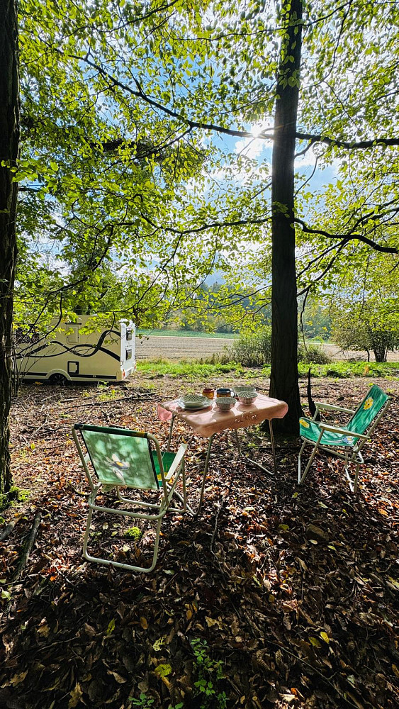 Prodej lesa 893 m² – fotografie 4