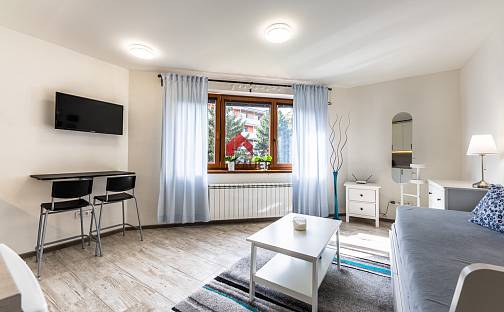 Pronájem bytu 1+kk 25 m², Kadlčákova, Frýdlant nad Ostravicí - Frýdlant, okres Frýdek-Místek