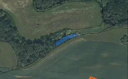 Prodej lesa 540 m², Ves Touškov, okres Plzeň-Jih