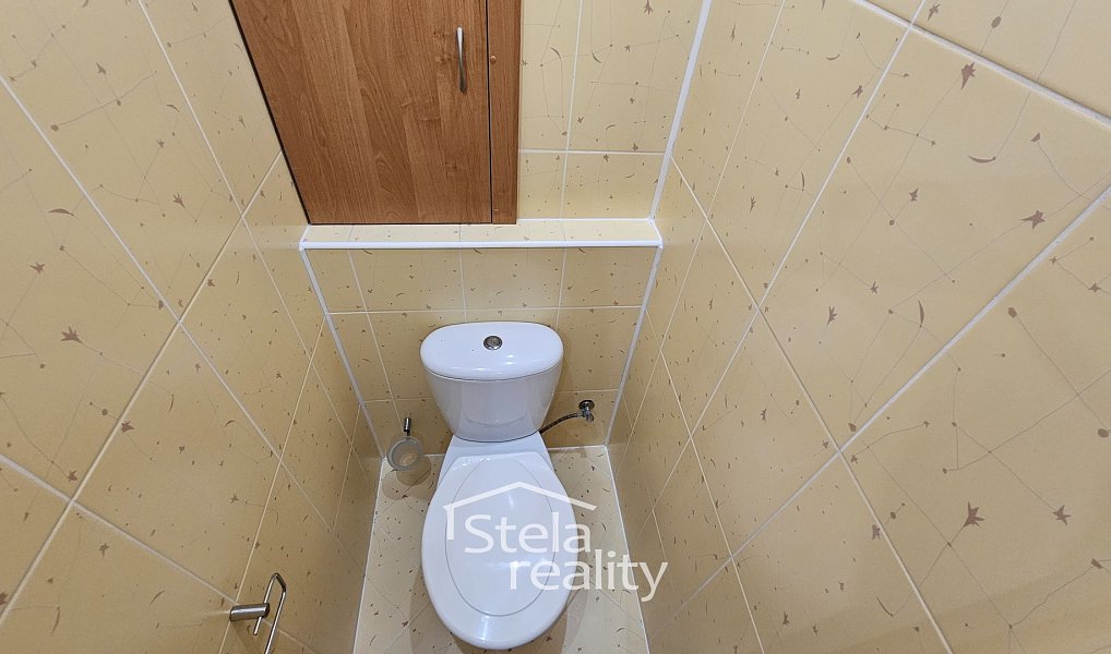 Pronájem bytu 2+1 55 m², Horní Benešov – náhled fotky 5