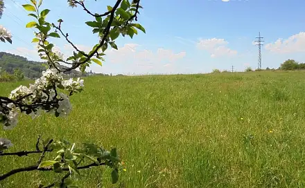 Prodej stavebního pozemku 2 187 m², Turnov - Pelešany, okres Semily