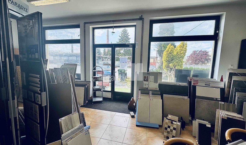 Prodej obchodních prostor 168 m², Chlumčany – náhled fotky 8