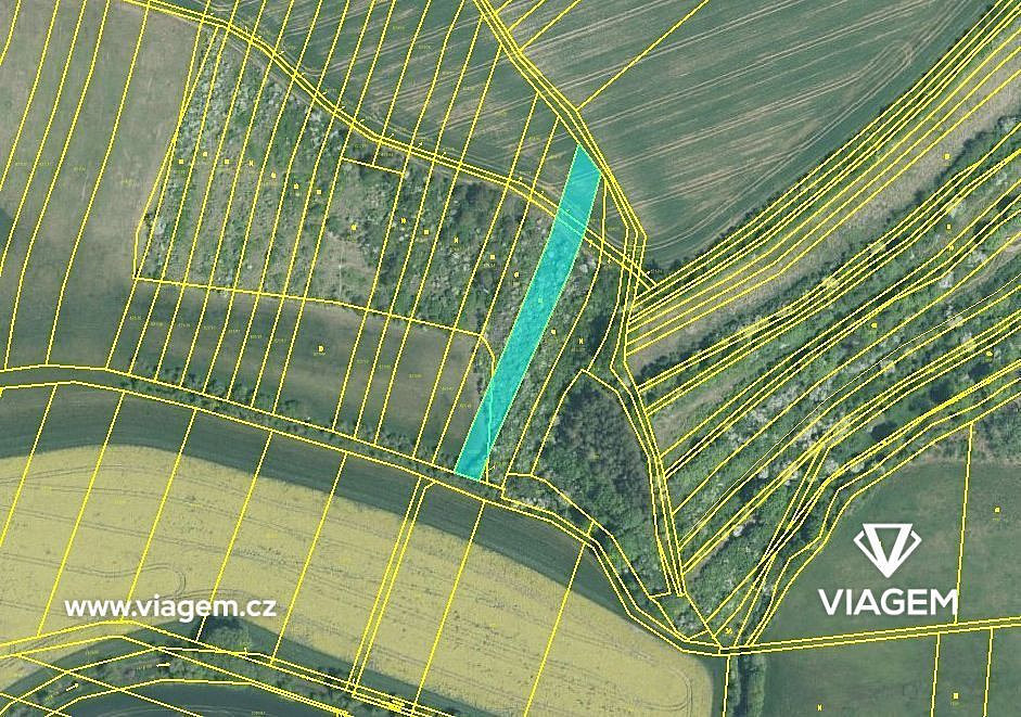 Prodej pole 991 m² – fotografie 3