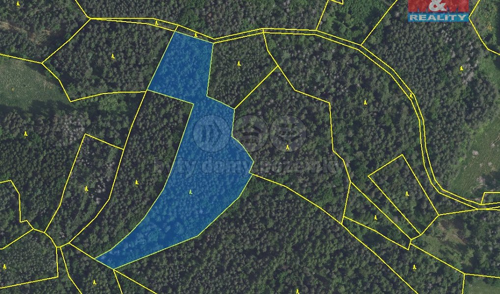 Prodej lesa 16 220 m², Petrovice – náhled fotky 4