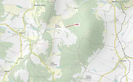 Dražba lesa 1 919 m², Dlouhá Loučka