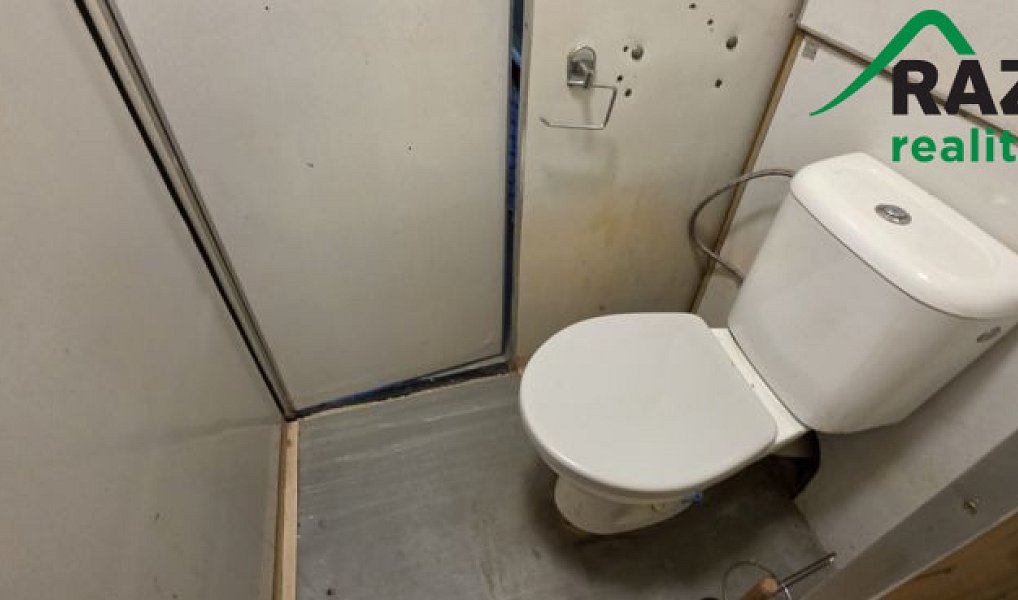 Prodej bytu 2+1 60 m², Planá – náhled fotky 12