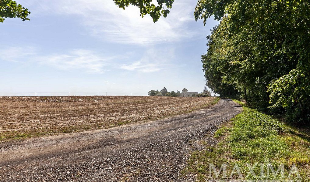 Prodej pole 3 636 m², Lhotky – náhled fotky 5