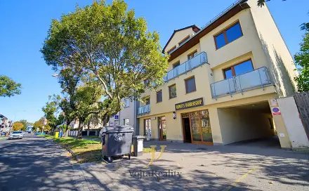 Prodej bytu 2+kk 44 m², Schweitzerova, Olomouc - Povel