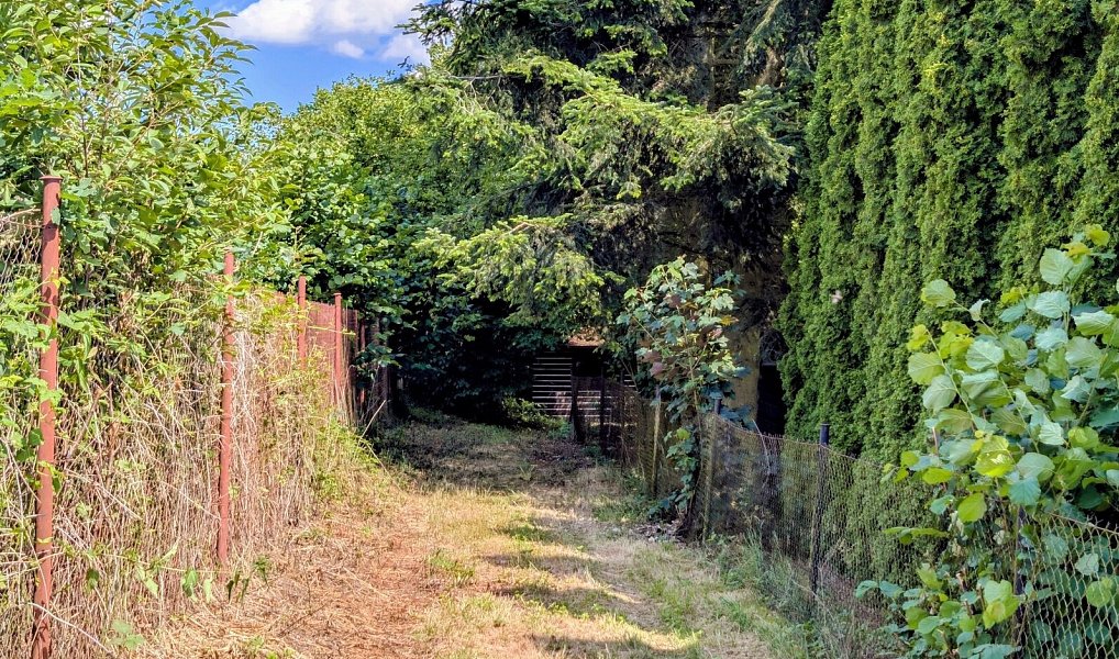 Prodej stavebního pozemku 1 590 m², Herálec – náhled fotky 5