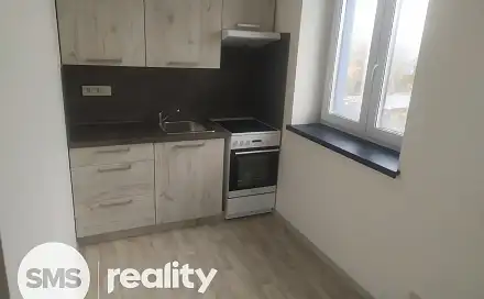 Pronájem bytu 1+1 25 m², Rybářská, Opava - Předměstí